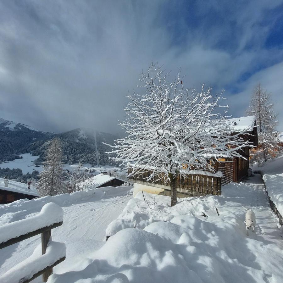 Chambre D'Hotes L'Ours Bleu Les Diablerets Dış mekan fotoğraf