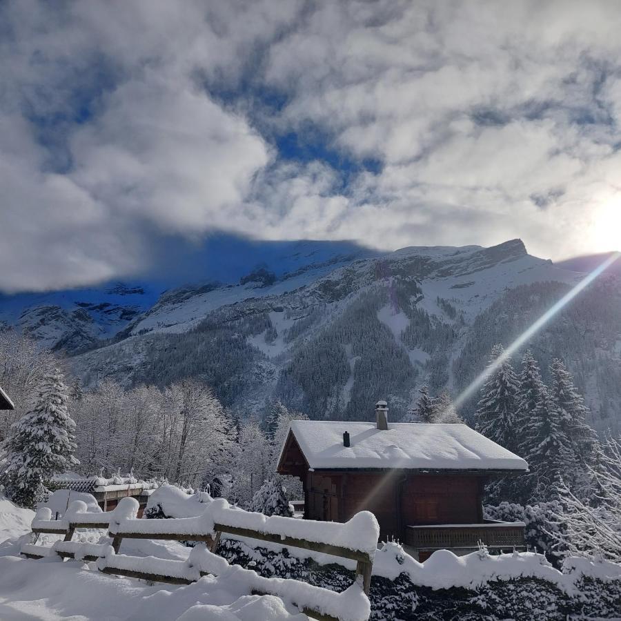 Chambre D'Hotes L'Ours Bleu Les Diablerets Dış mekan fotoğraf